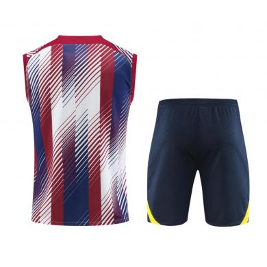 Camiseta Sin Mangas FC Barcelona Pre-Match 2023/2024