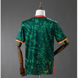 Camiseta Camerún 1ª Equipación 2026 Barata