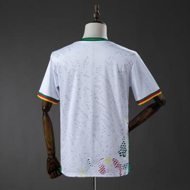Camiseta Camerún 2ª Equipación 2026 Barata