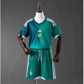 Camiseta Irlanda del Norte 1ª Equipación 2026 Niño Barata