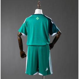 Camiseta Irlanda del Norte 1ª Equipación 2026 Niño Barata