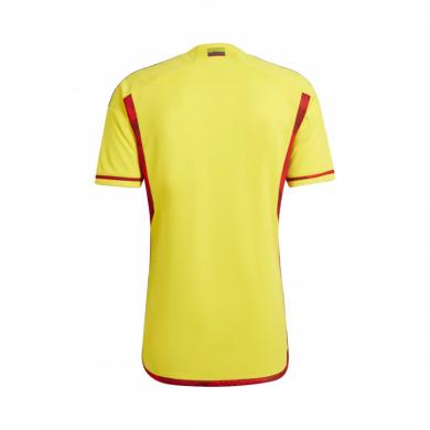 Camiseta Colombia Primera Equipación Mundial Qatar 2022