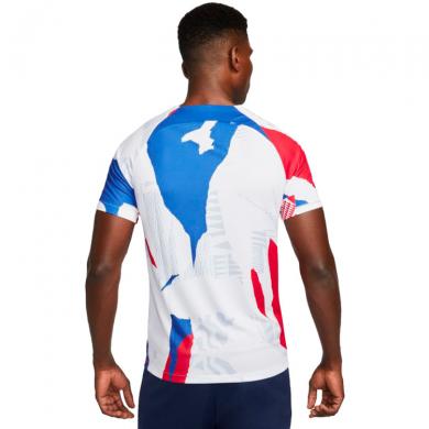 Camiseta Francia Pre-Match Mundial Qatar 2022