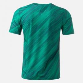 Camiseta Northern Ireland Euro Primera Equipación 2020/2021