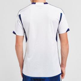 Camiseta Escocia Segunda Equipación Mundial Qatar 2022