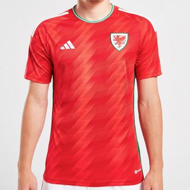 Camiseta GALES Primera Equipación Mundial Qatar 2022