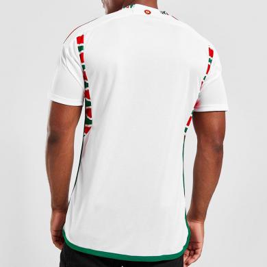 Camiseta GALES Segunda Equipación Mundial Qatar 2022