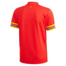 Camiseta Gales Primera Equipación 2020-2021 Niño