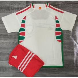 Camiseta GALES Segunda Equipación Mundial Qatar 2022 Niño