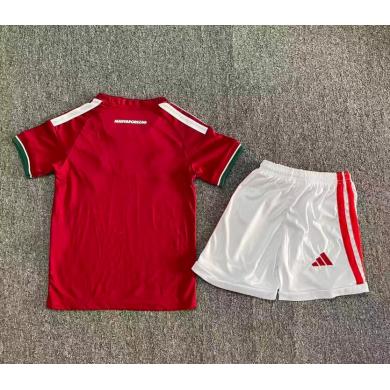 Camiseta Hungría 1ª Equipación 2026 Niño Barata