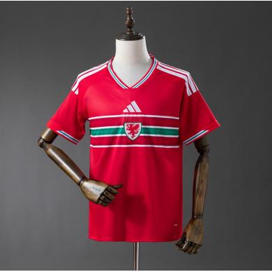 Camiseta GALES Primera Equipación 2026