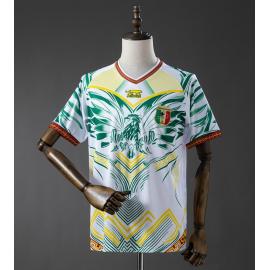 Camiseta Malí 3ª Equipación 2026 Barata