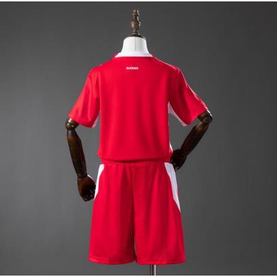 Camiseta Suiza 1ª Equipación 2026 Niño Barata Camiseta Suiza 1ª Equipación 2026 Niño Barata