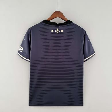 Camiseta 22/23 París Saint-germain Entreno Negro Gris