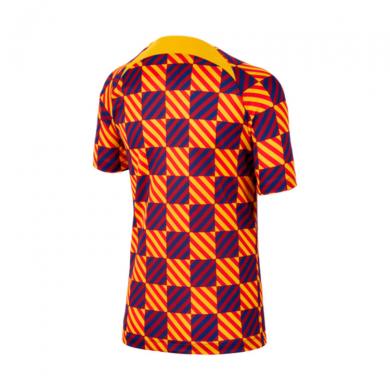 Camiseta FC Barcelona Pre-Match 2022-2023